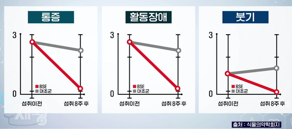 보스웰리아 효능