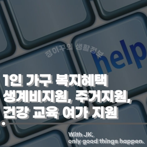 1인 가구 복지 혜택 생계비 건강보험 주거 교육 취업 문화 여가 지원