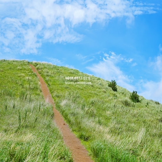 서귀포 가볼만한곳 10곳