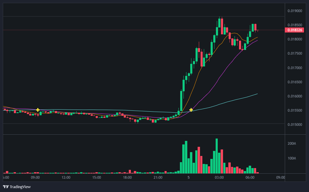 너보스 코인(CKB)