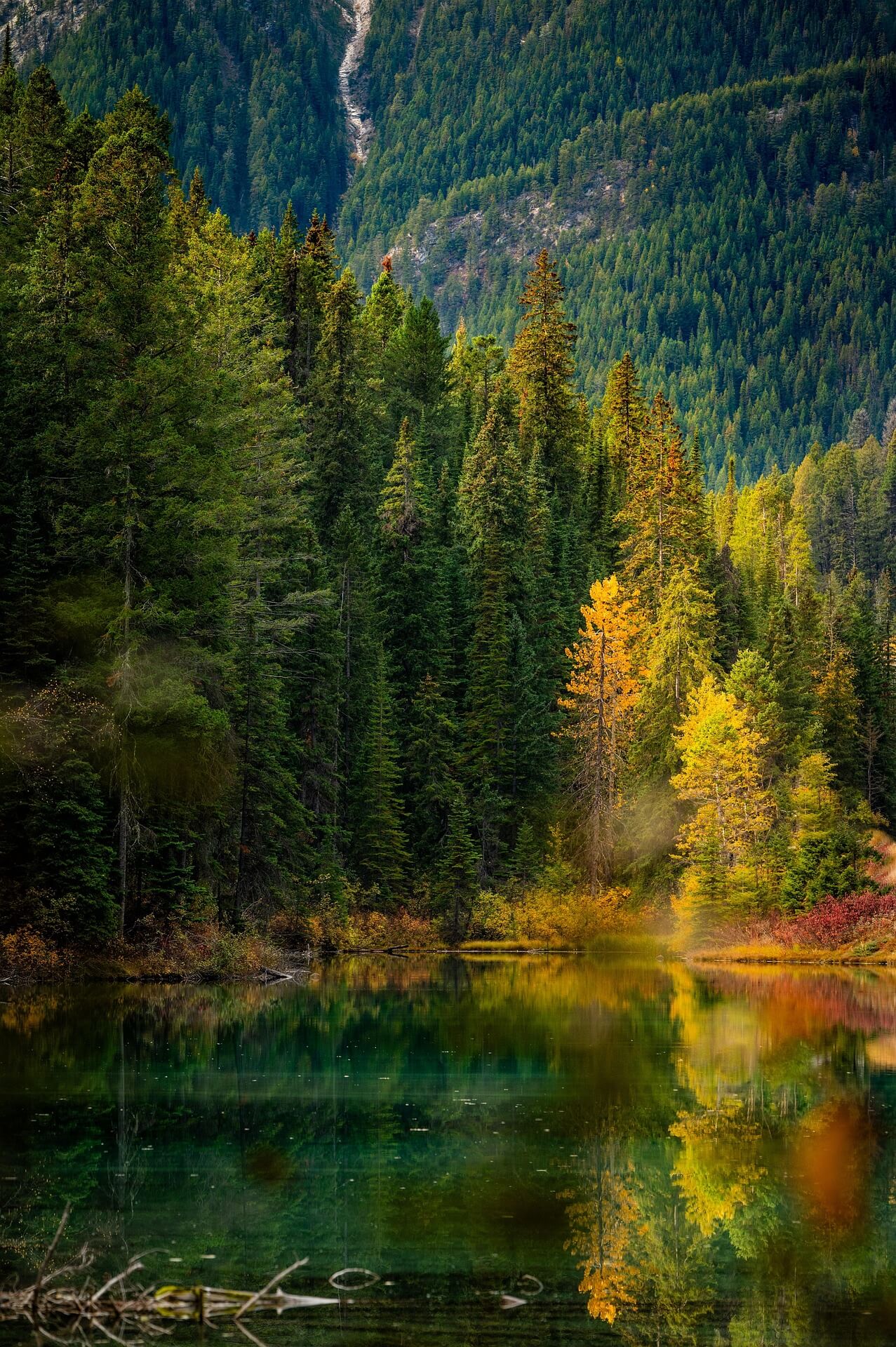 전통 채색화 붓과 도구의 특징과 사용법