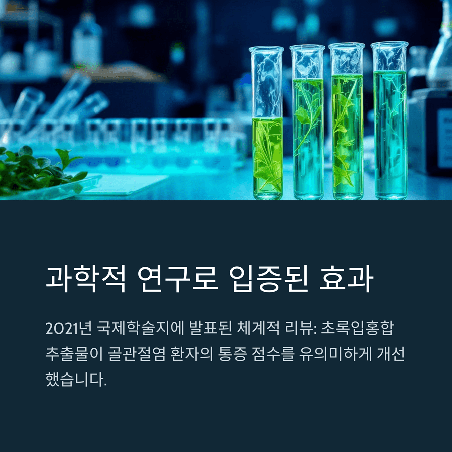 초록입홍합오일 관절건강 효과를 입증한 SCI급 국제학술지 논문들과 연구 결과를 정리한 인포그래픽
