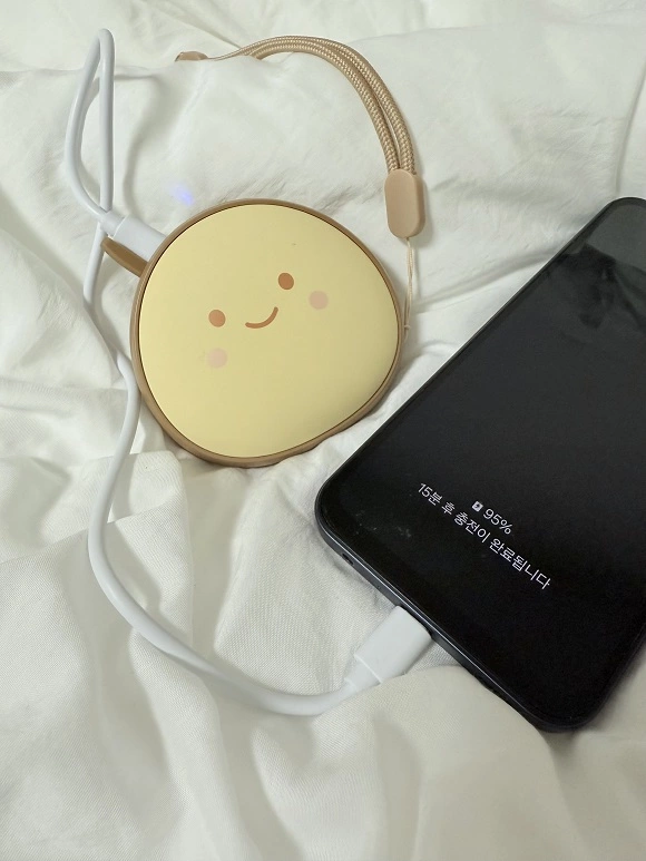 보조 배터리 기능 중인 알밤이