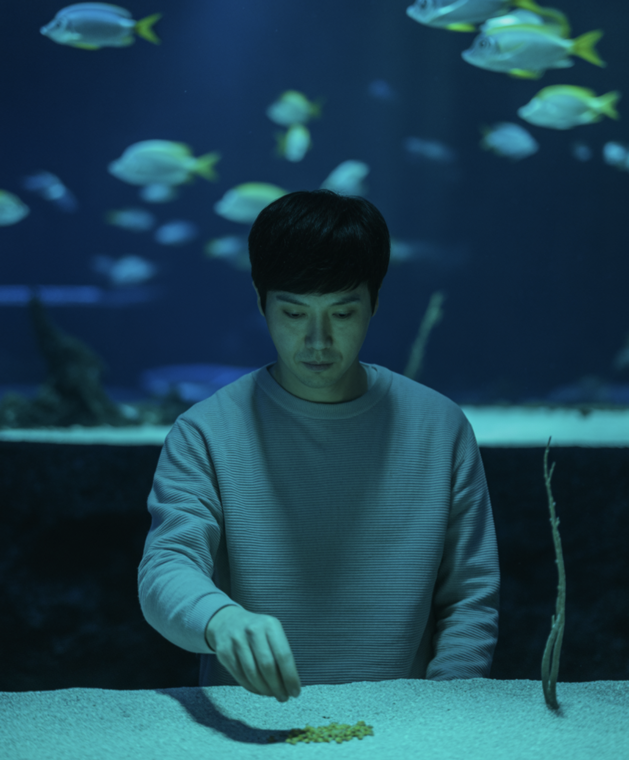 먹이 - 달팽이는 '특식'일 뿐