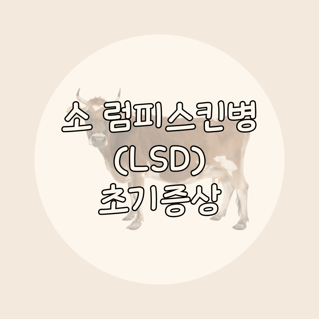 럼피스킨병 초기증상