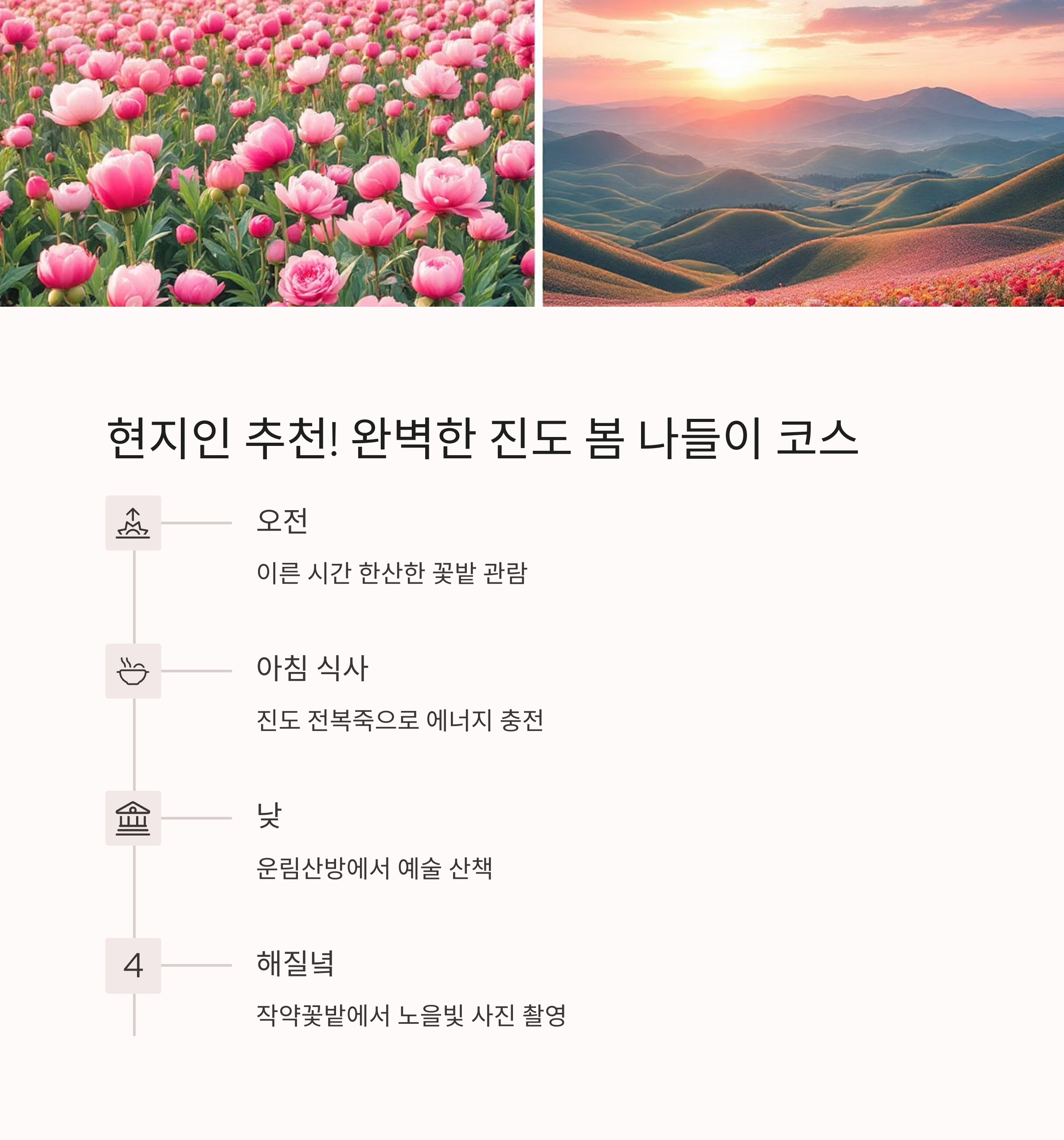 전남 진도에서 펼쳐지는 작약꽃 향연, 5월의 감성 여행지