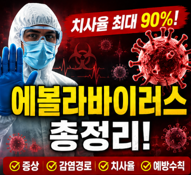 에볼라바이러스 증상 치사율 감염경로 총정리1