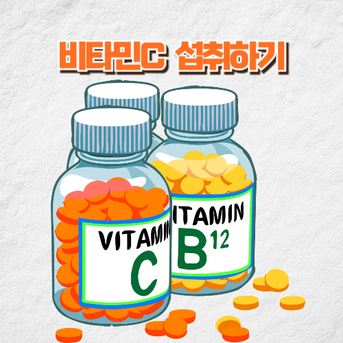 면역력 높이는 방법