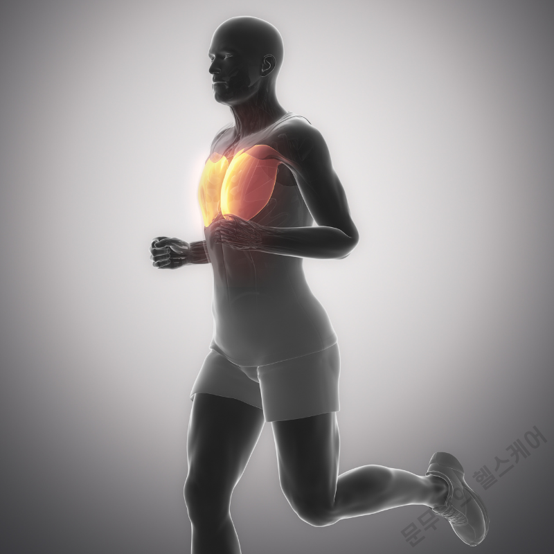 라운드숄더 증상 스트레칭