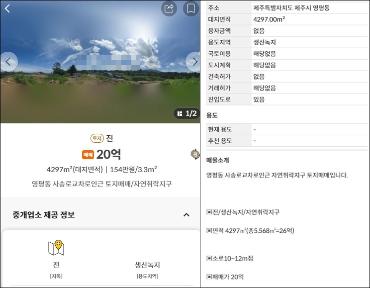 제주도 토지 임야 땅 매매 매물 부동산 시세 집값 땅값