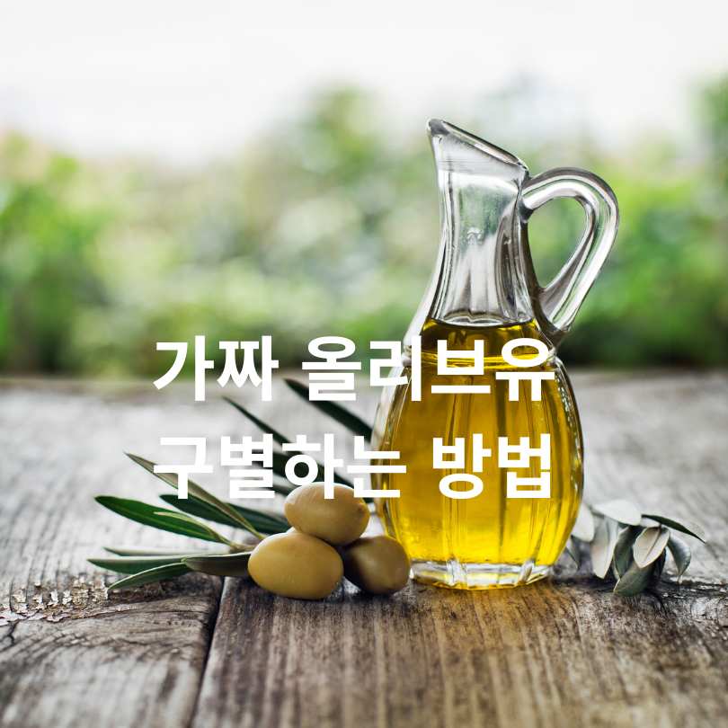 가짜 올리브유 구별법과 진짜 좋은 올리브유 고르는 방법