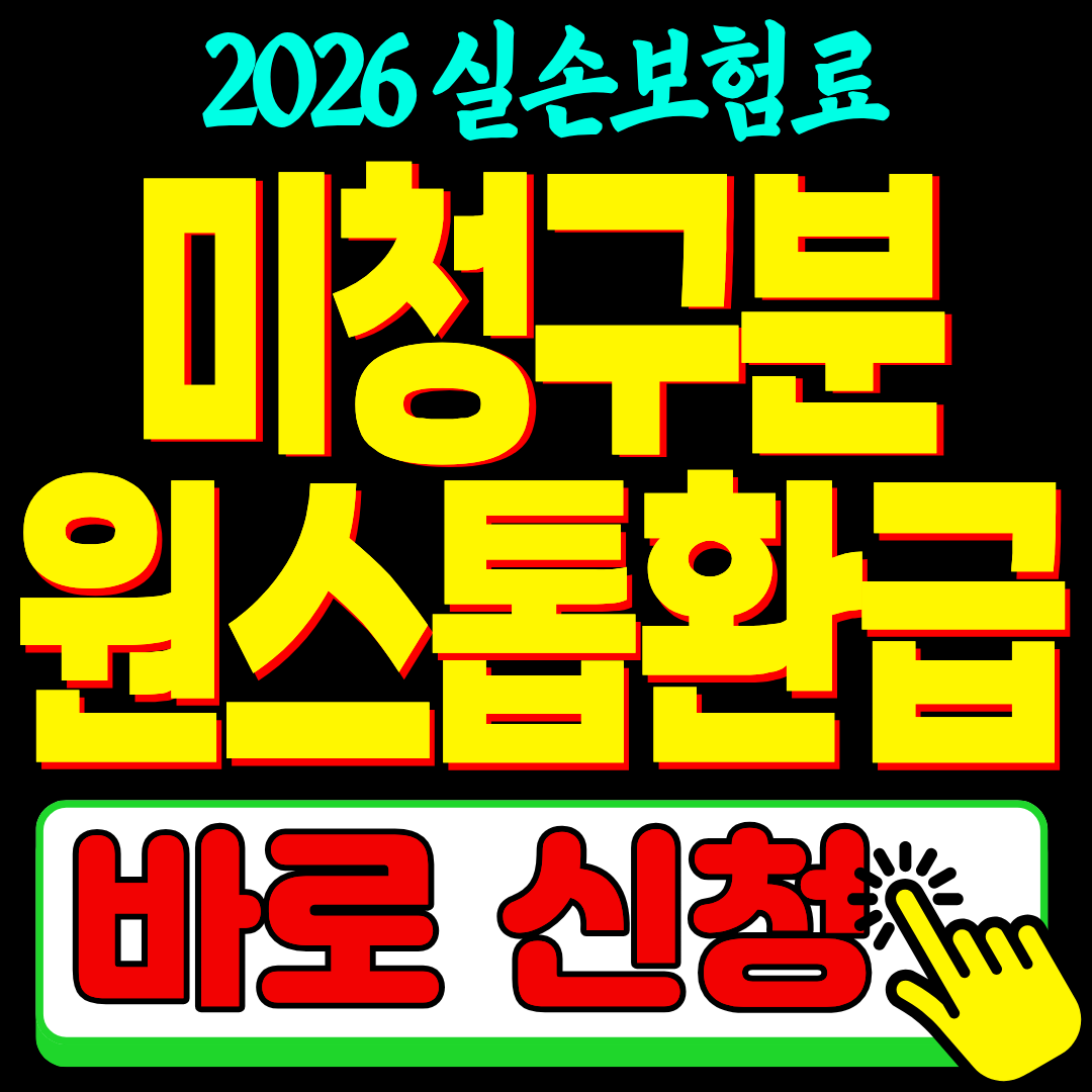 실손보험금 실손보험료 미청구분 조회 환급 실손24