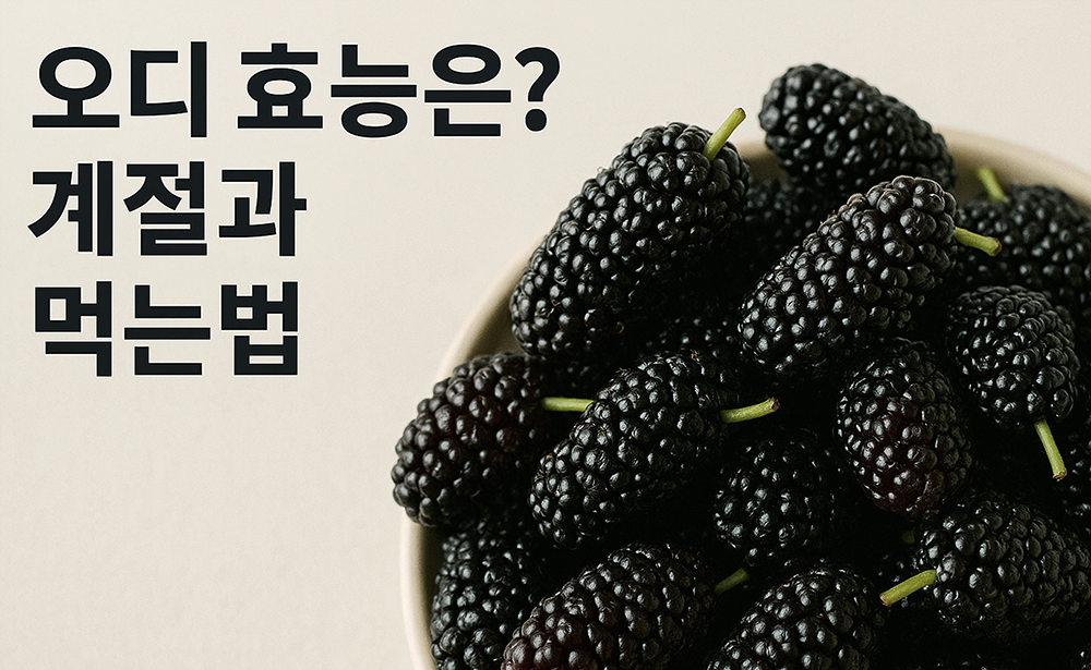 오디 효능은? 계절과 먹는법