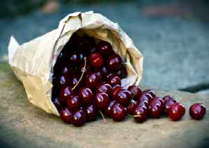 다이어트 식단 추천