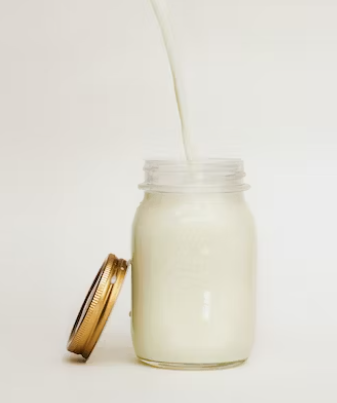 산양유단백질