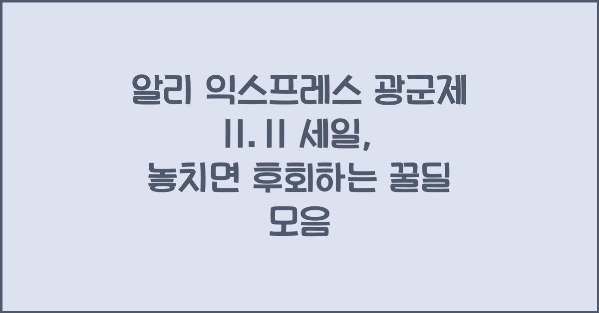 알리 익스프레스 광군제 11.11 세일