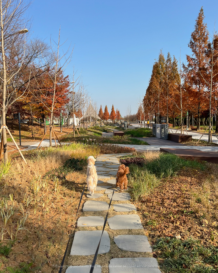 가을 걸포공원 사진