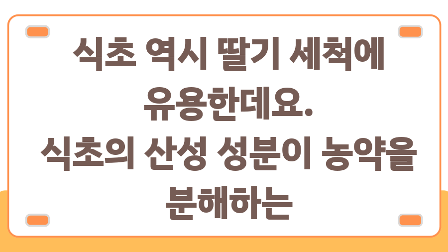 딸기, 그냥 씻으면 안돼요! 베이킹소다 세척법, 그 놀라운 효과! - 소금물과 식초물, 베이킹소다의 든든한 지원군 - 식초물 세척, 상큼함은 덤! 딸기, 그냥 씻으면 안돼요! 베이킹소다 세척법, 그 놀라운 효과! - 소금물과 식초물, 베이킹소다의 든든한 지원군 - 식초물 세척, 상큼함은 덤!