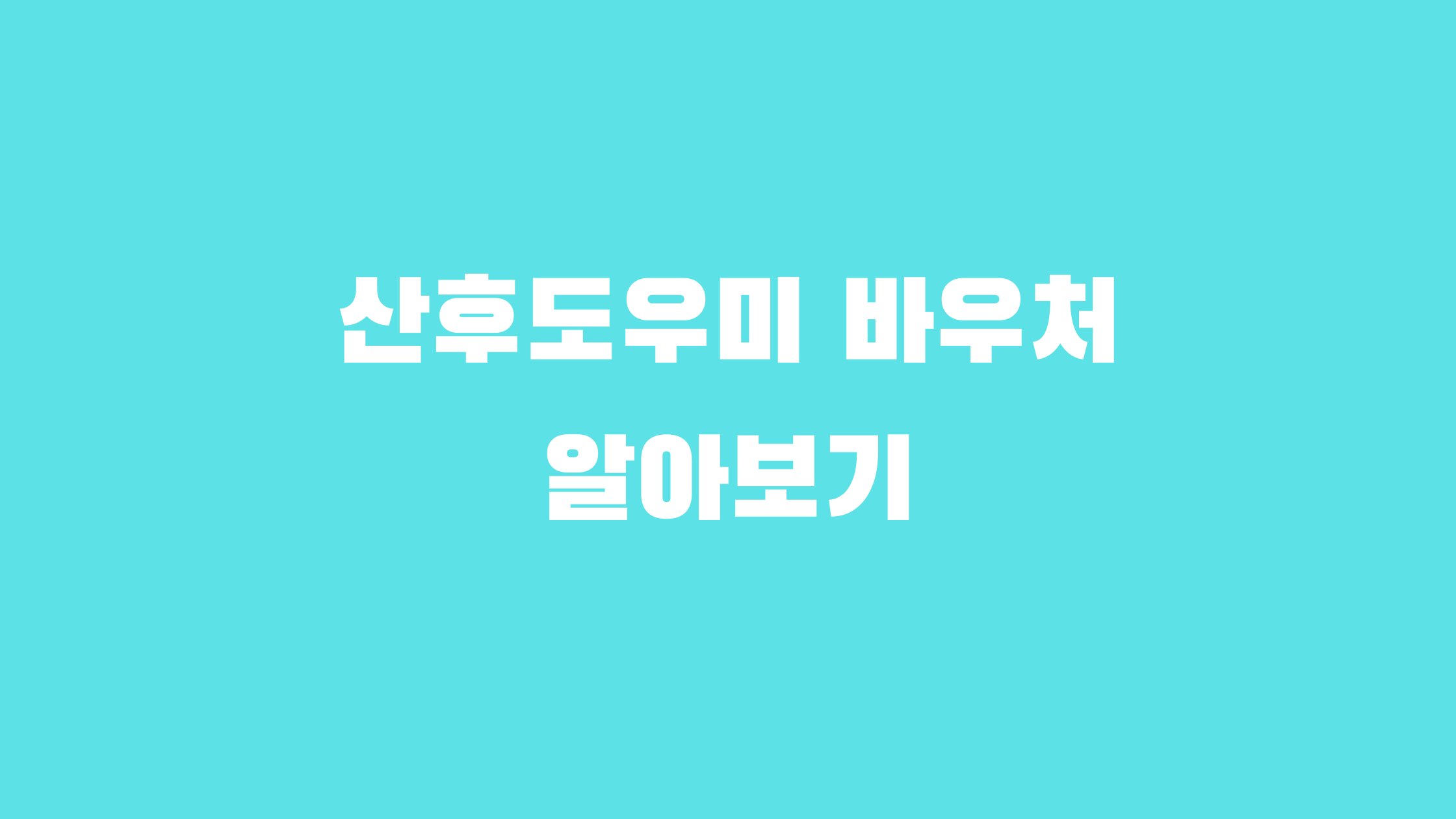 산후 도우미 바우처