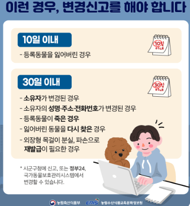 반려동물등록제