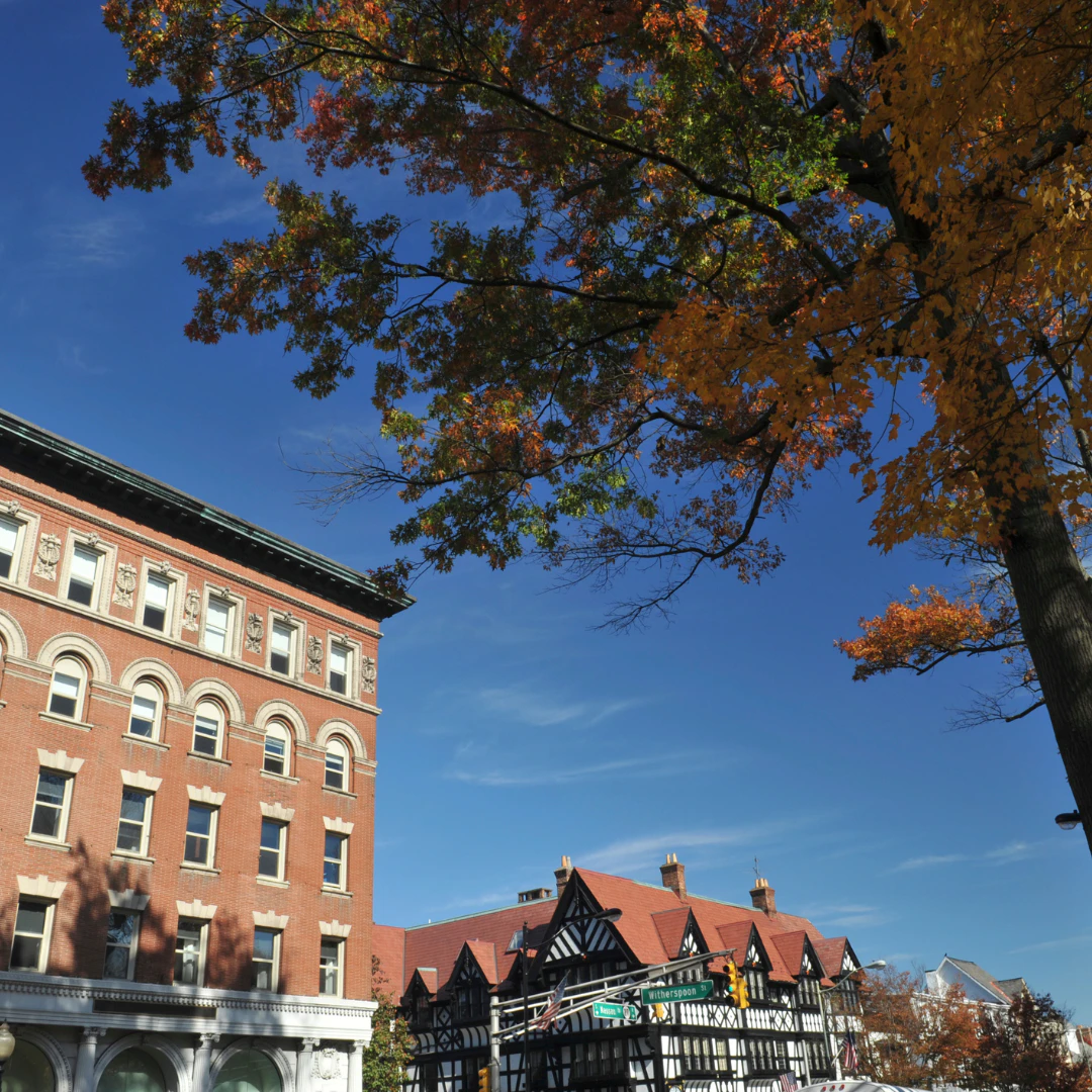 2024년 세계 대학 순위 100