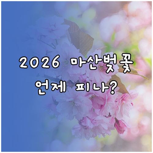 2026년 마산 벚꽃 개화 시기 및 ..