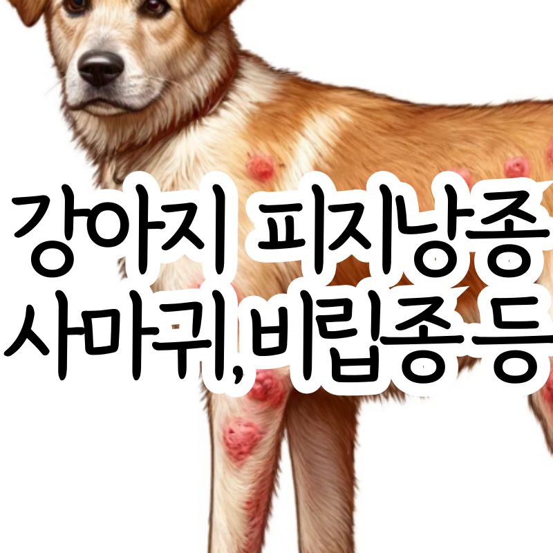 강아지 피지낭종 쥐젖 사마귀 유두종 비립종 차이