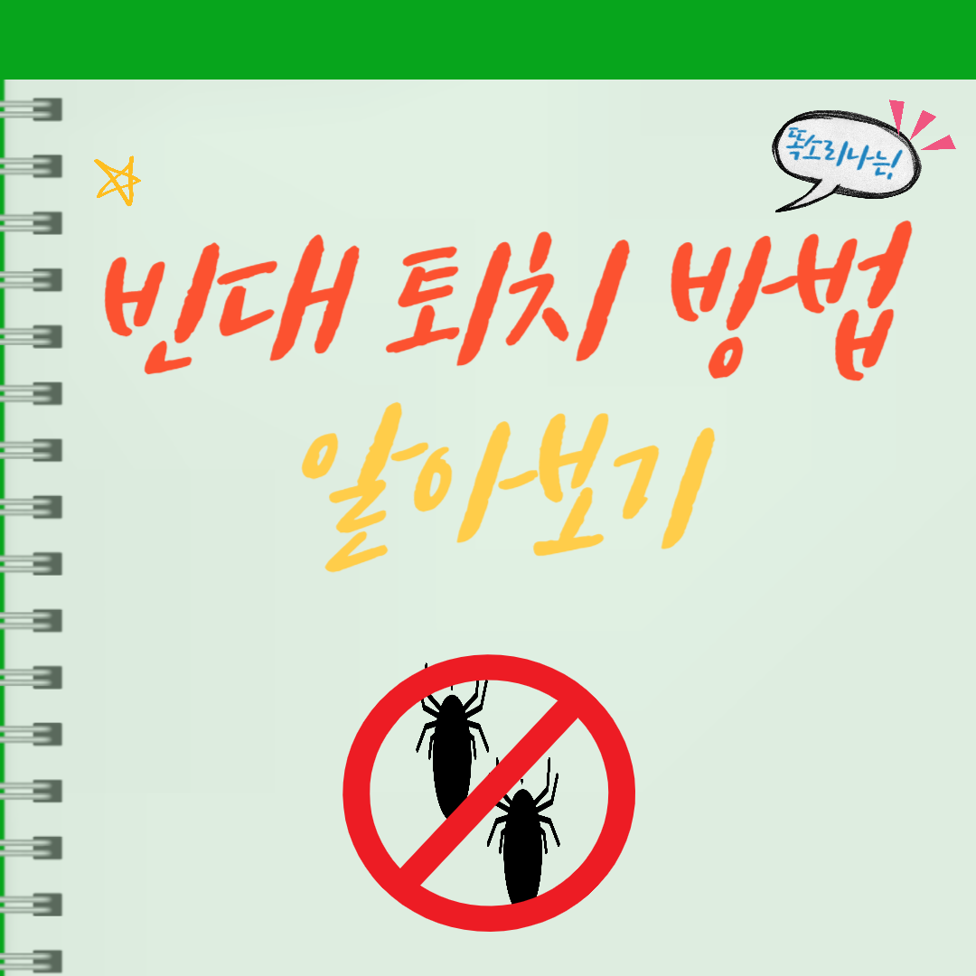빈대 퇴치 방법 알아보기