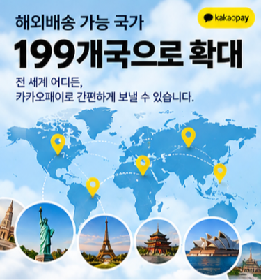 카카오페이 해외배송 신청 배송비 계산