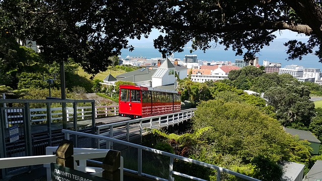 장기렌트 와 리스 세금혜택