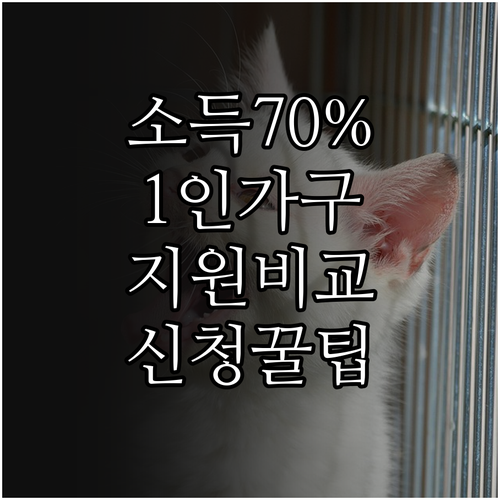 소득 하위 70% 1인 가구 지원 정..