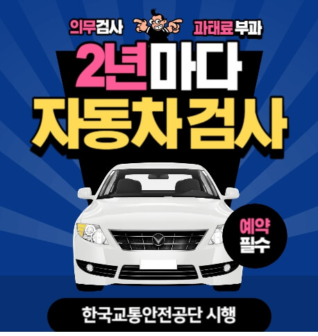 자동차 검사 괴태료