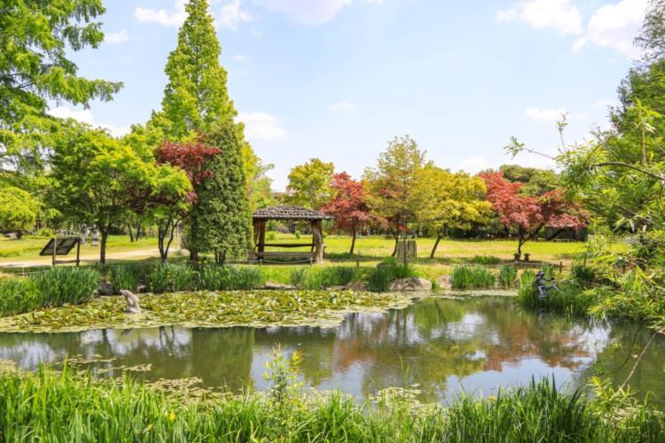 양평들꽃수목원|야생화와 자연의 소박한 아름다움을 담은 수목원