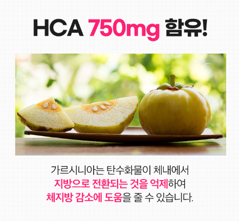 푸응 다이어트 후기 다이어트 성공!