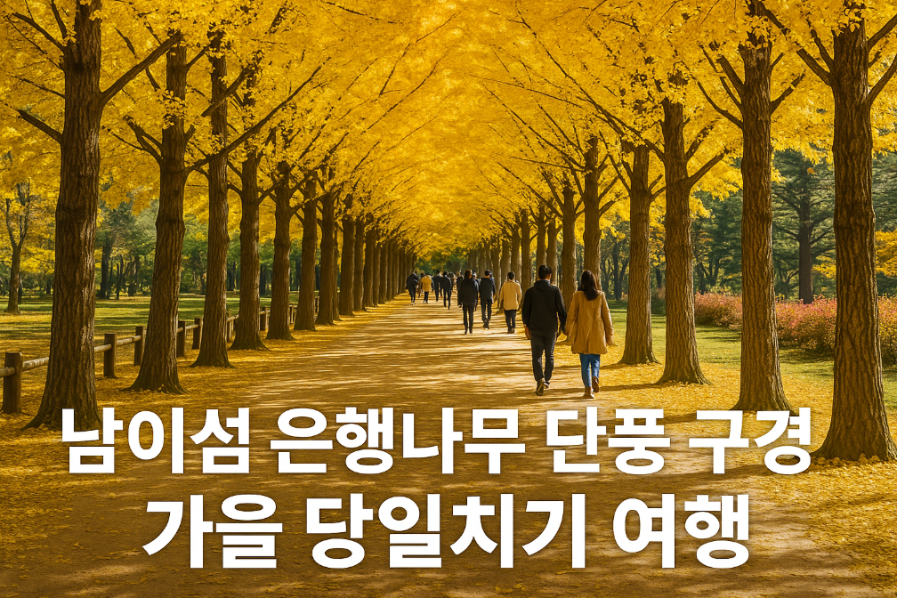 남이섬 은행나무 황금빛 단풍, 가을 당일치기 완벽 코스