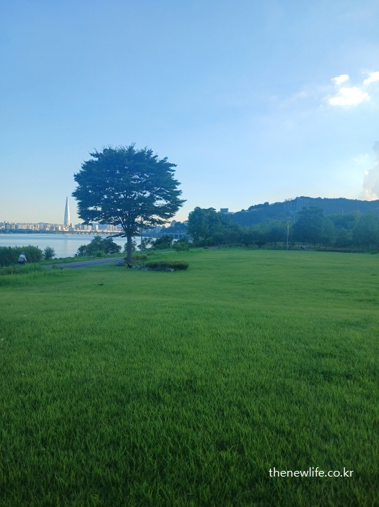 Guri Hangang Park's lawn with a river view and city skyline, ideal for relaxing barefoot earthing/구리 한강시민공원의 잔디밭과 강변 풍경 &ndash; 맨발 어싱과 전자기 해소에 적합한 자연 공간