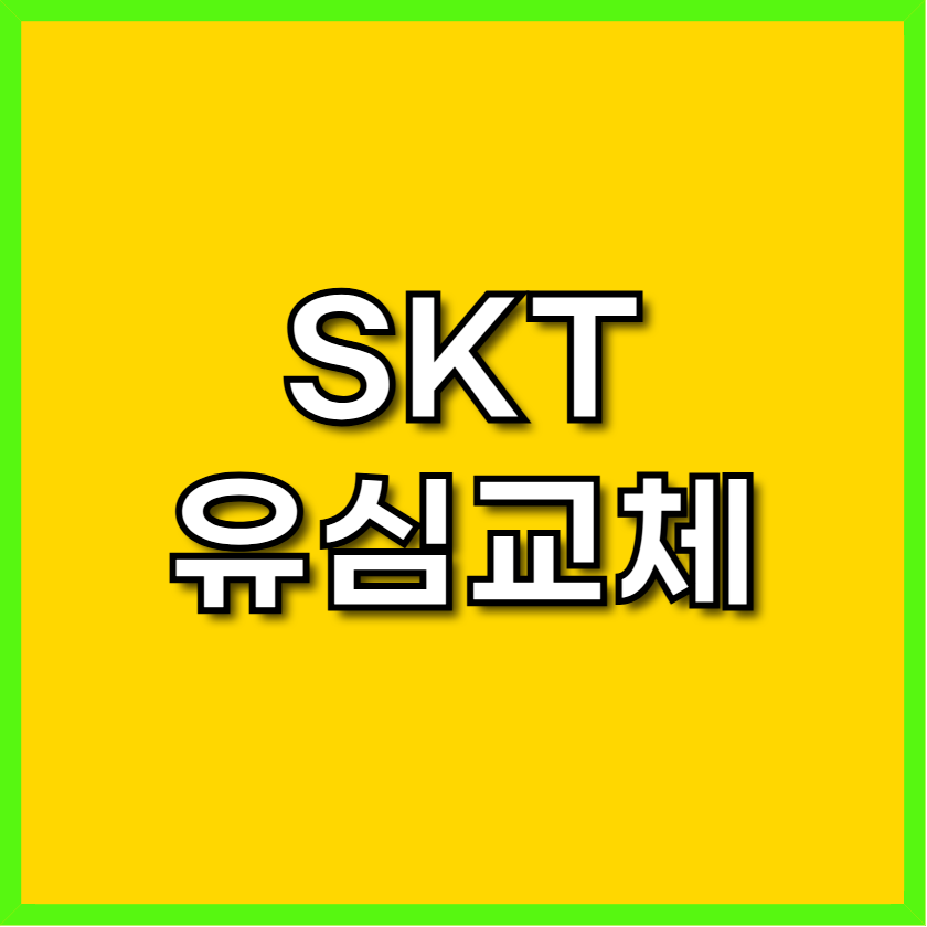 SKT 유심교체