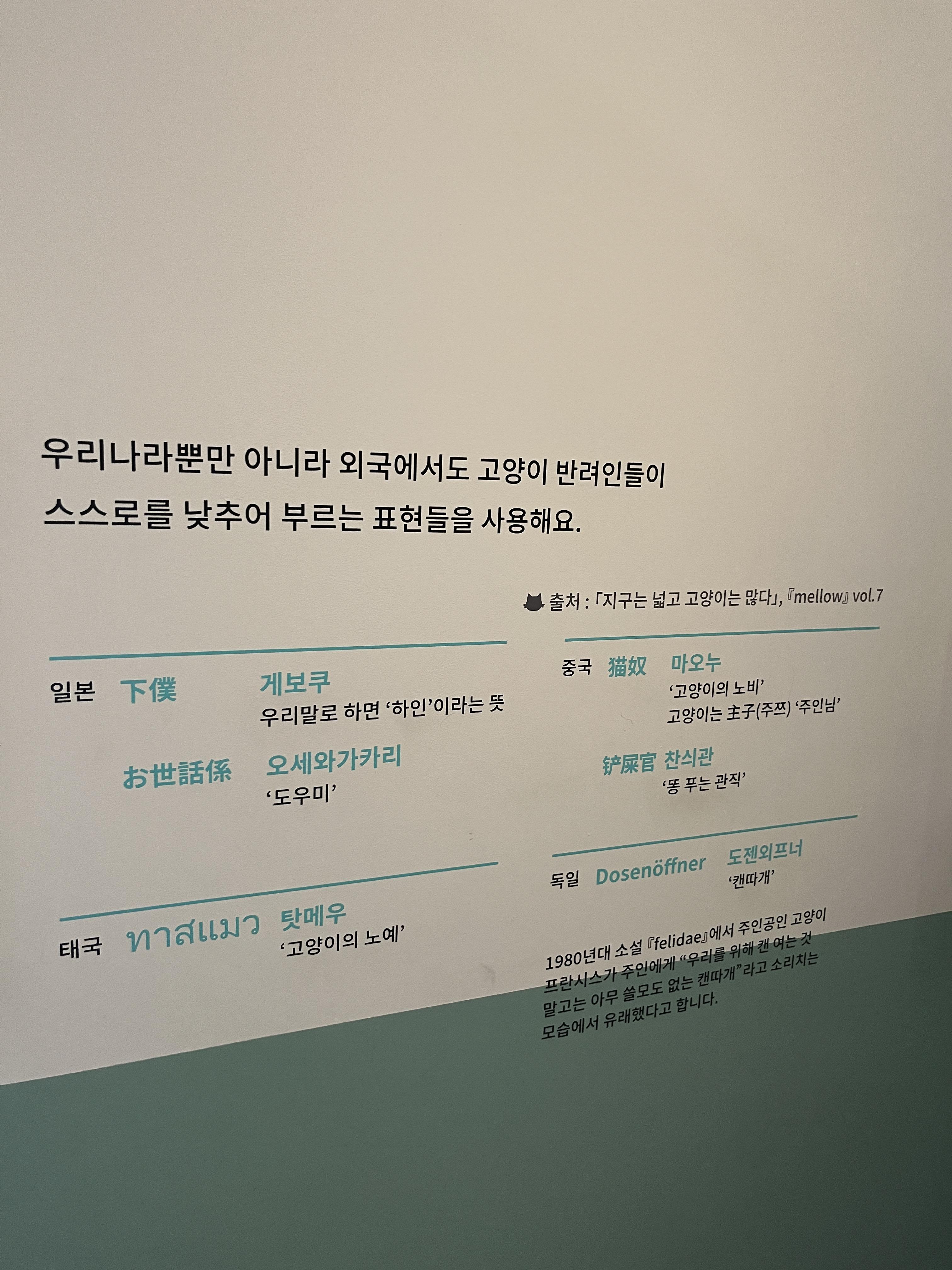 요물 우리를 홀린 고양이