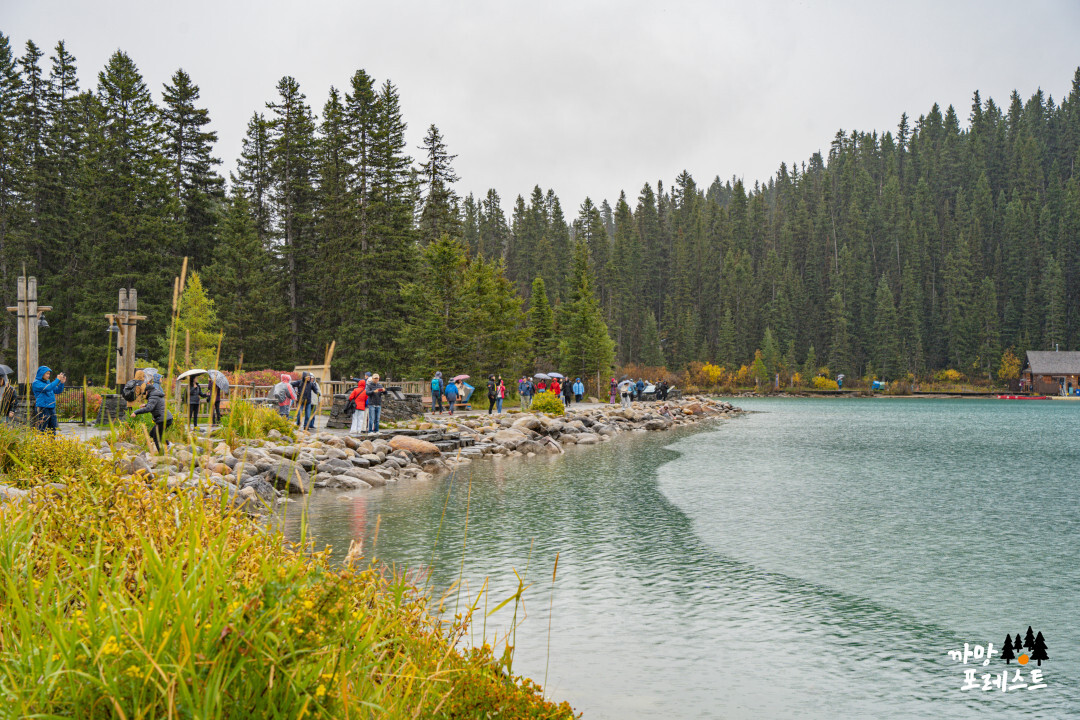 캐나다 레이크 루이스 버스 관광