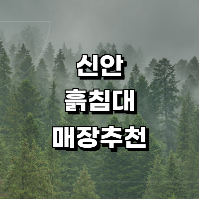 신안군 흙침대
