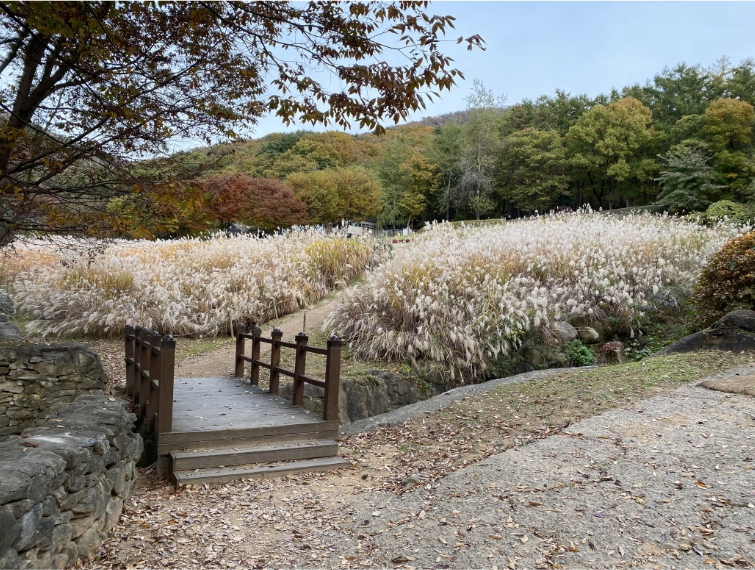 용인자연휴양림