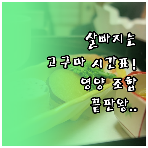 고구마 다이어트 성공 전략 식사 시간..