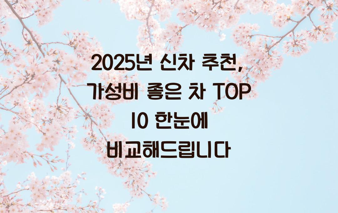 2025년 신차 추천: 가성비 좋은 차 TOP 10