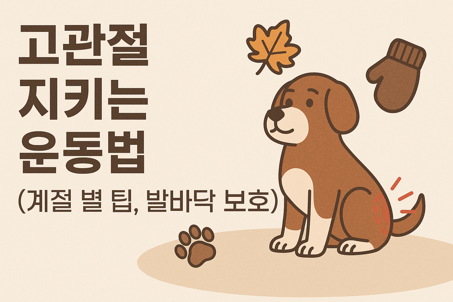 강아지 고관절 지키는 운동법 이미지