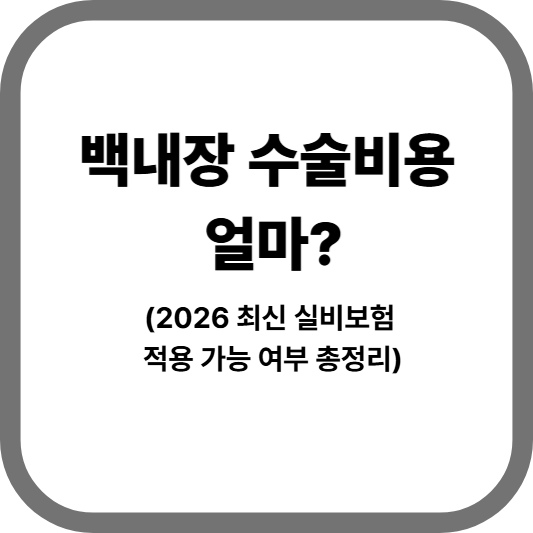 백내장 수술비용 실비보험 적용가능여부 총정리