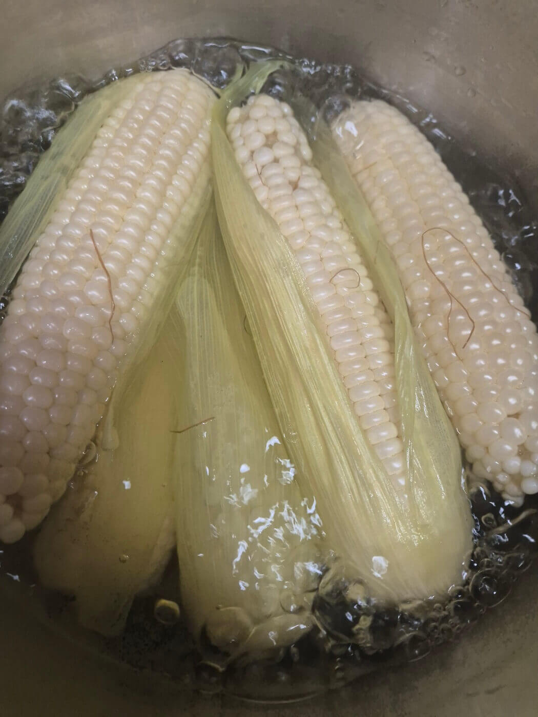 옥수수 삶는 법 시간 뉴슈가 및 보관방법