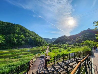 갈대밭숲길포토존