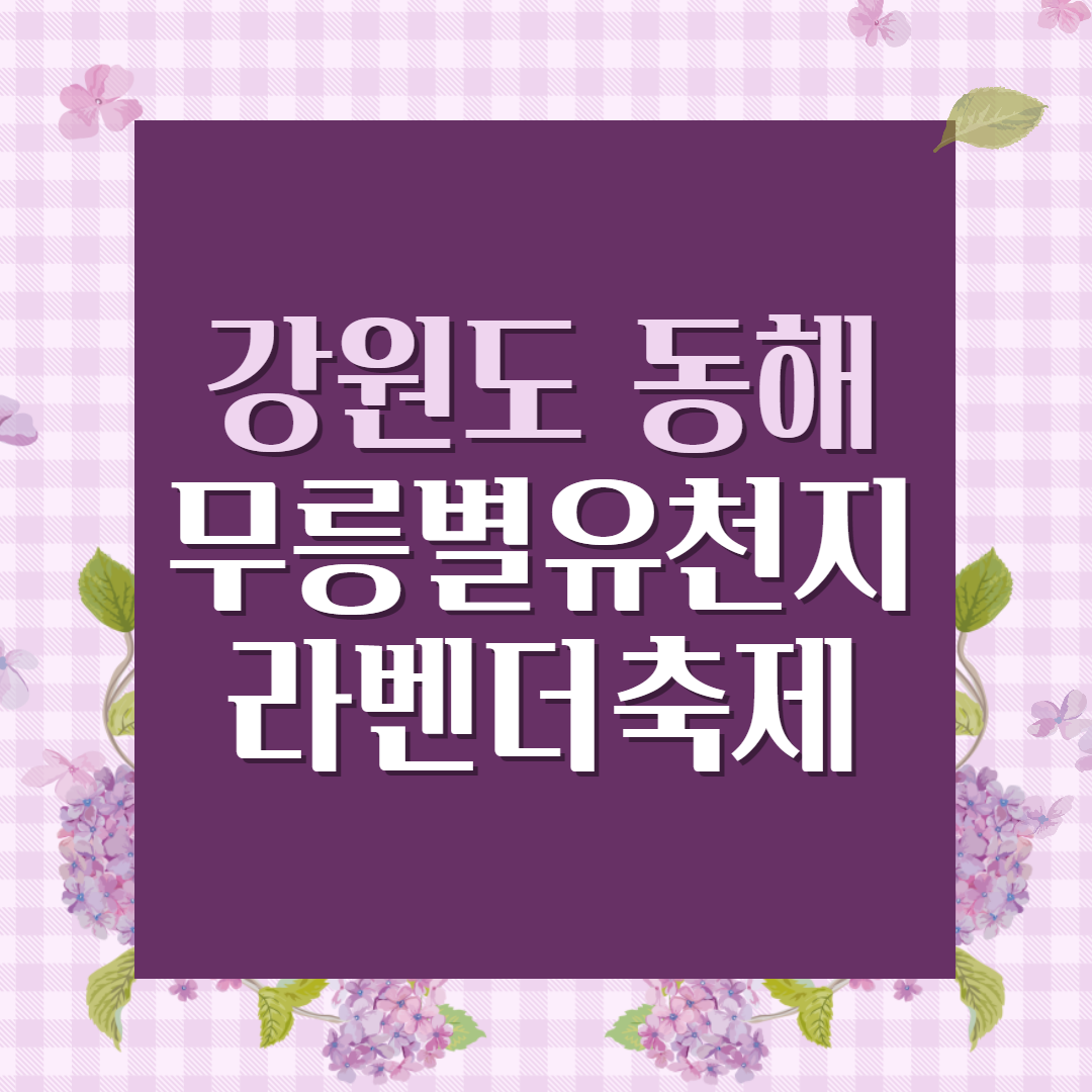 동해 무릉별유천지 라벤더축제