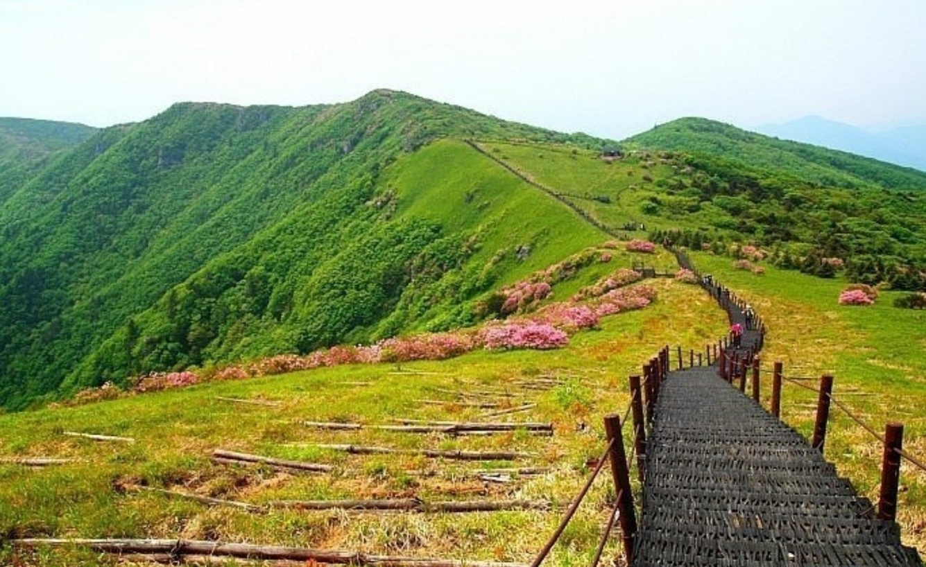 단양 소백산 이미지