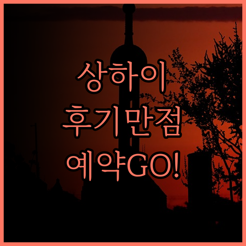 상하이 차오허징 Suisse Plac